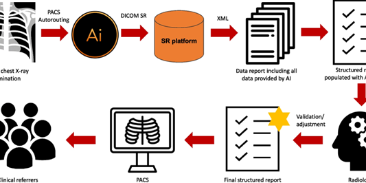 Reporting workflow