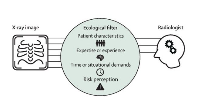 AI radiology cognitive perspective