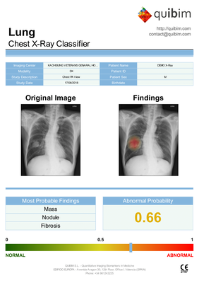 quibim-chest-x-ray-classifier.png